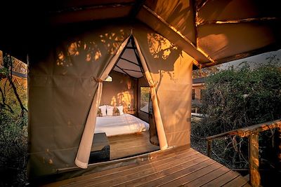 Voyage Du Kalahari à l'Okavango, une aventure magique  2