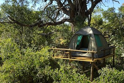 © Oddballs Camp - Oddballs Camp - Okavango - Botswana Oddballs Camp - Okavango - Botswana