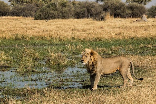 © Machaba Camps