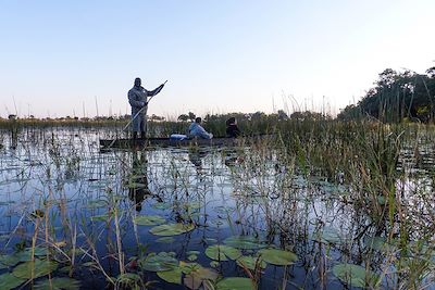 © Valentin Poitte et Marion Feral - Safari en mokoro sur le delta de l'Okavango - Botswana Safari en mokoro sur le delta de l'Okavango - Botswana