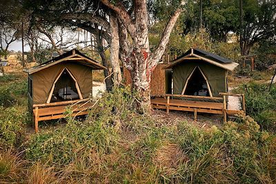 © Safari Destinations - Oddballs Camp - Okavango - Botswana Oddballs Camp - Okavango - Botswana