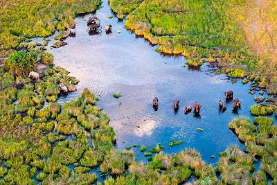 © Ondrej / Adobe Stock - Delta de l'Okavango au Botswana Delta de l'Okavango au Botswana