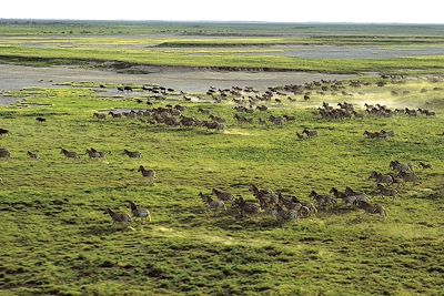 Voyage Brousse et Savane Botswana