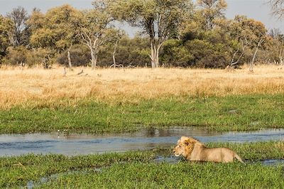 © Machaba Camps - Machaba Camps - Khwai - Botswana Machaba Camps - Khwai - Botswana