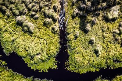 © Stanley's Camp - Stanley's Camp - Okavango - Botswana Stanley's Camp - Okavango - Botswana