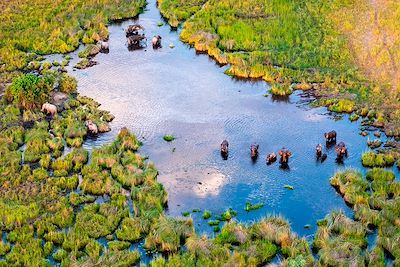 © Ondrej / Adobe Stock - Delta de l'Okavango au Botswana Delta de l'Okavango au Botswana