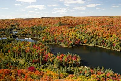 Parc provincial Algonquin - Muskoka - Ontario - Canada