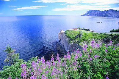 Parc du Forillon - Québec - Canada