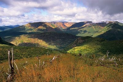 Mont Ernest-Laforce - Parc national de Gaspésie - Quebec