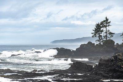 Port Renfrew - Colombie Britannique - Canada