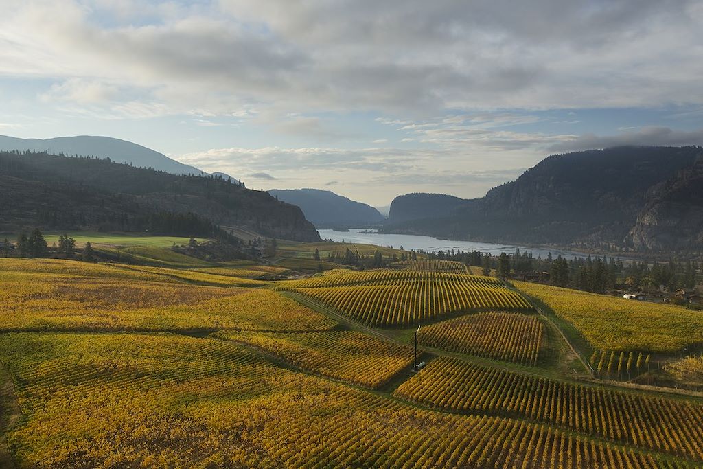 Voyage Vallée de l'Okanagan : Vignobles et Terroir