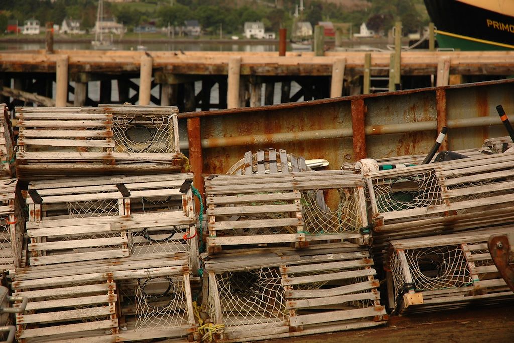Voyage Le train des maritimes 3