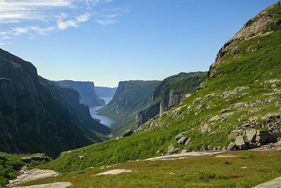 Terre-Neuve : Randonnées en terre sauvage