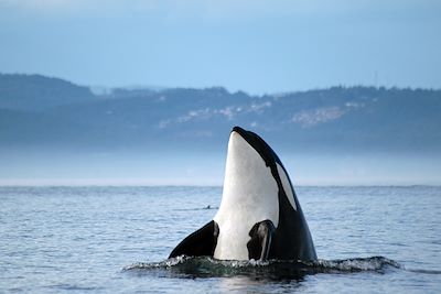 Voyage Rocheuses, Sunshine Coast et île de Vancouver 3