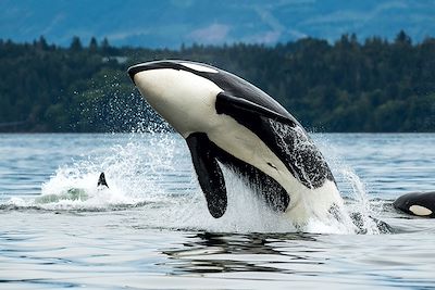 Voyage Vancouver et les Rocheuses