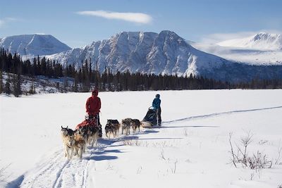 © Sky High Wilderness - Chiens de traineau dans le Yukon - Canada Chiens de traineau dans le Yukon - Canada