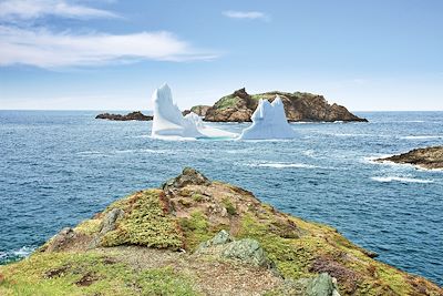 Crow Head - Île de Twillingate - Terre-Neuve-et-Labrador - Canada