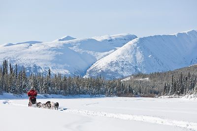 Yukon, l'appel du loup 