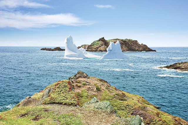Voyage : Inoubliable Terre-Neuve Voyage Inoubliable Terre-Neuve