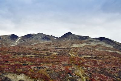 Toundra - Yukon - Canada
