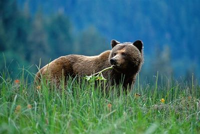Voyage Vancouver et les Rocheuses