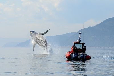 Fleuve Saint-Laurent - Québec - Canada
