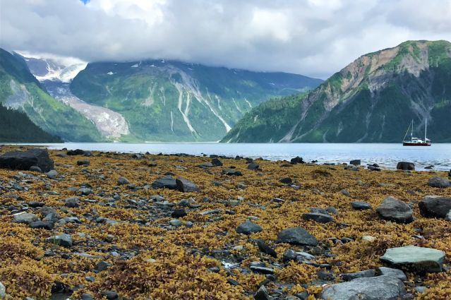 Voyage Haida Gwaii et la côte ouest sauvage  3