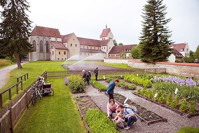 Voyage Les chutes du Rhin et lac de Constance à vélo 3