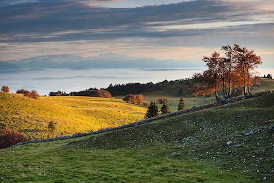 © Switzerland Tourism / Roland Gerth - Jura neuchâtelois, vue sur les Alpes et le Mont Blanc - Suisse Jura neuchâtelois, vue sur les Alpes et le Mont Blanc - Suisse