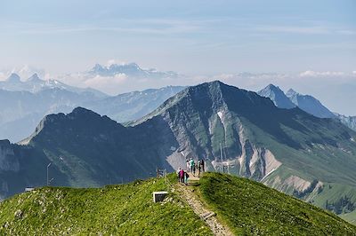 Le Moléson - Canton de Fribourg - Suisse