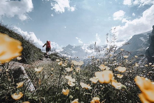Voyage Sur le chemin de Chamonix - Zermatt