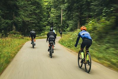 Gravel - Parc Naturel du Gantrisch -  Suisse