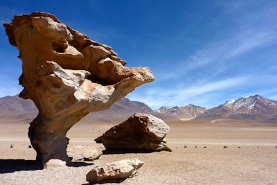 Arbre de pierre - Désert de Siloli - Sud Lipez - Bolivie