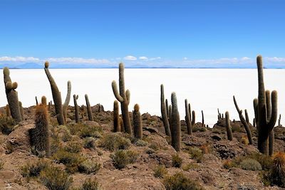 Voyage Atacama