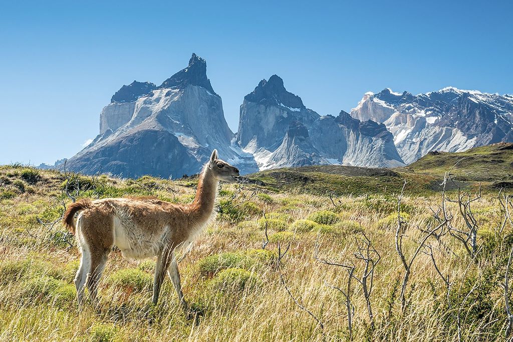Voyage Mystérieuse Patagonie, de Pali Aike au Fitz Roy 1