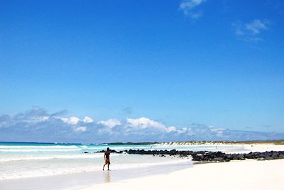 Voyage Ile de Pâques et Galápagos 2