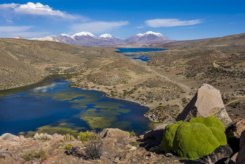 Voyage Du salar d'Atacama au salar d'Uyuni 3