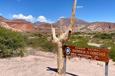 Quebrada de las Flechas - Les Vallées Calchaquies - Argentine