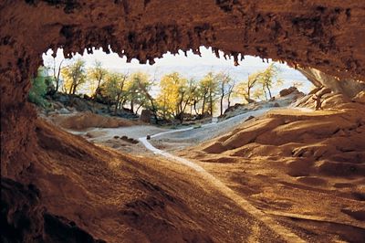 Cueva del Milodon - Antarctique - Magallanes - Chili