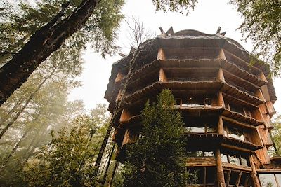 Hotel Nothofagus - Huilo Huilo - Chili
