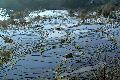 Les rizières de Yuanyang - Yunnan
