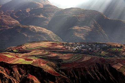 Circuits accompagnés Chine