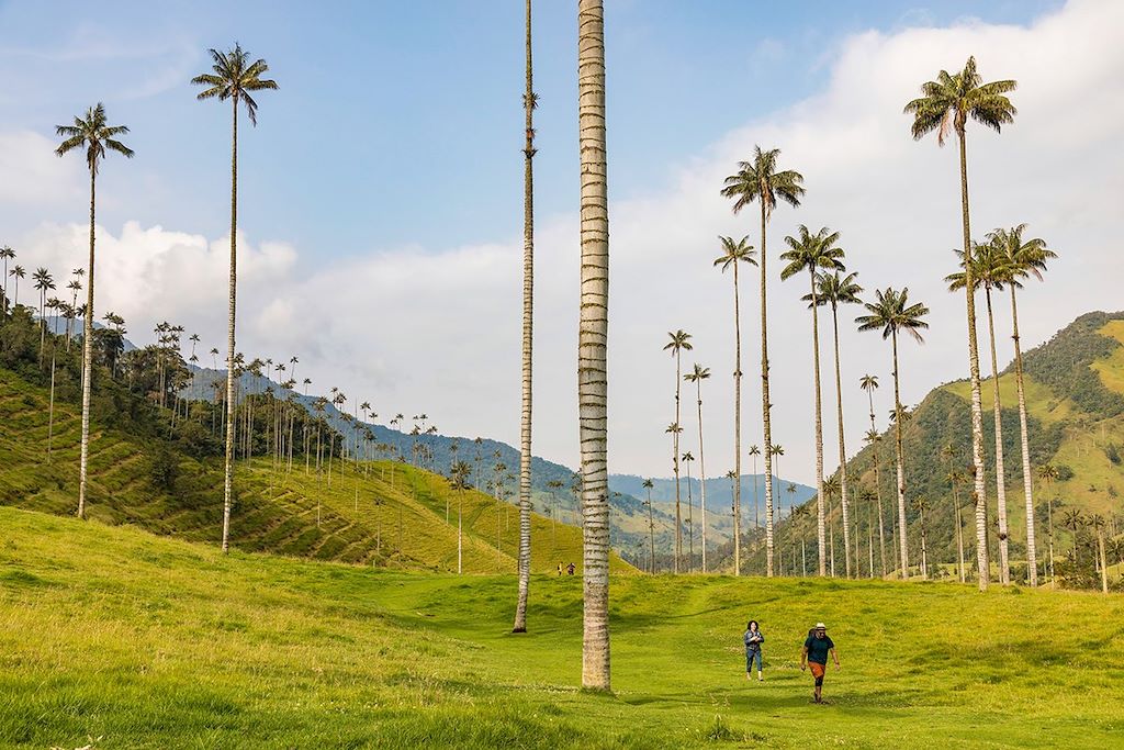 Voyage Arômes de Colombie : région du café et Caraïbes 1