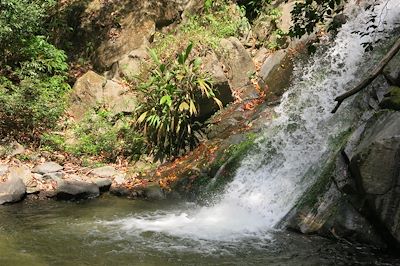 Cascade de Caoba - Colombie
