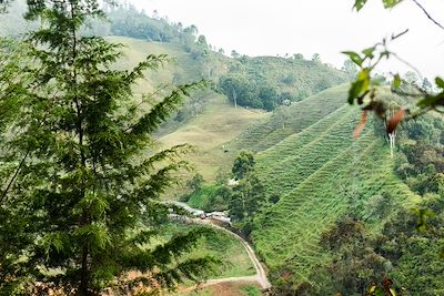 © Jenae Escobar / Getty Images - Paysage rural du côté d’El Retiro - Département d'Antioquia - Colombie Paysage rural du côté d’El Retiro - Département d'Antioquia - Colombie