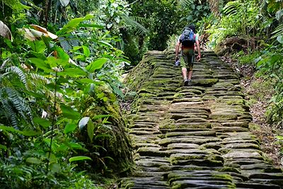 Ciudad Perdida, la cité des Tayronas