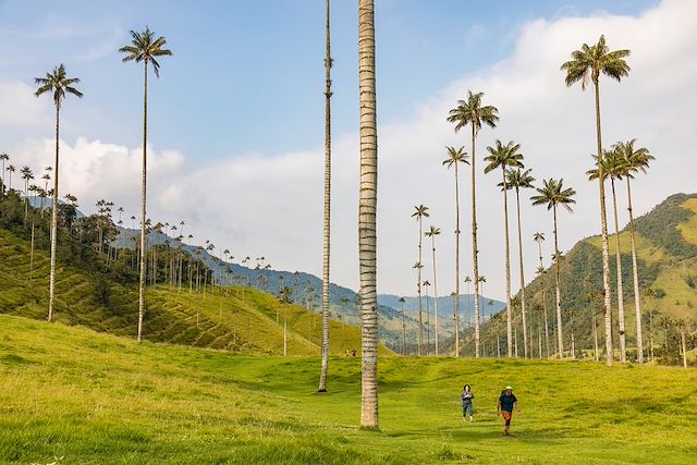 Voyage Arômes de Colombie : région du café et Caraïbes