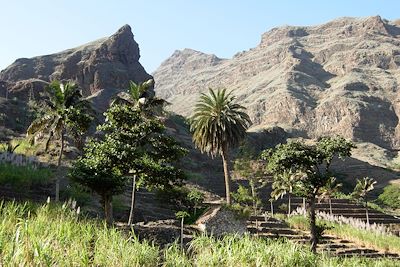 © Francoise Amiot Badin - Santo Antao - Cap Vert Santo Antao - Cap Vert