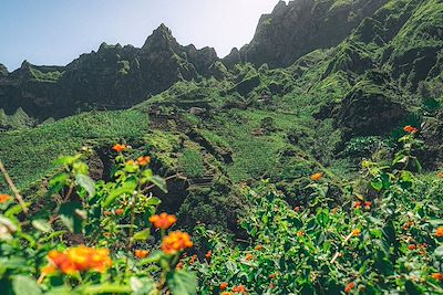 Vallée de Xoxo,  Santo Antao