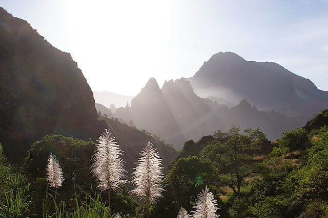 Voyage Les oasis atlantiques